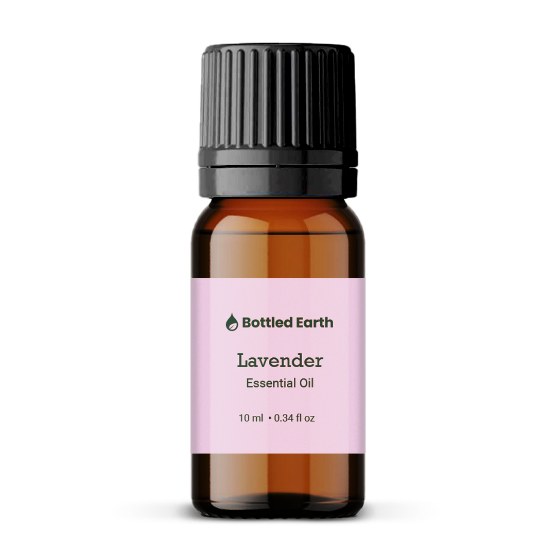 Lavender Essential Oil