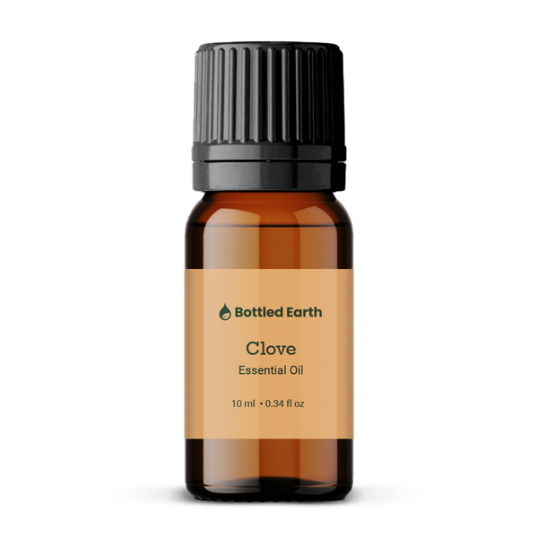 Clove Essential Oil