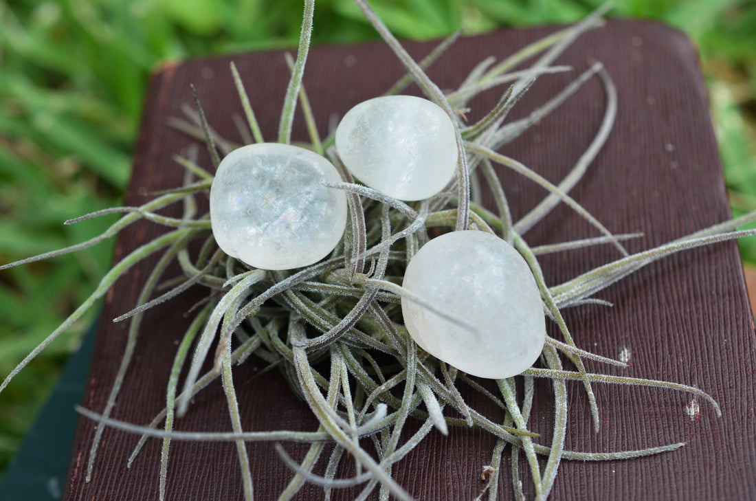 Tumbled moonstones on a table.