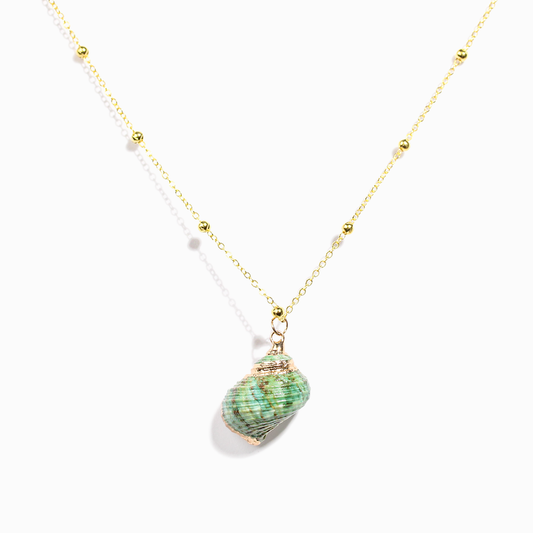 'Ocean's Treasures' Seashell Necklace